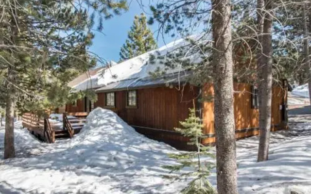 Wooded Seclusion in Truckee by RedAwning