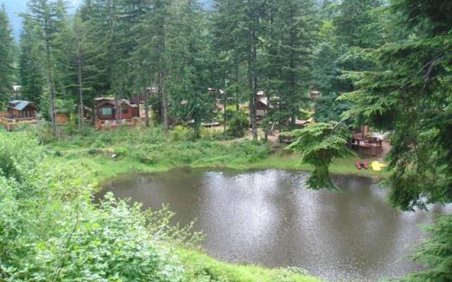 Mount Hood Village Deluxe Cabin 9