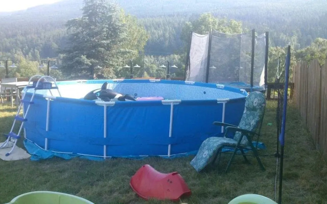 Lawenda-Strefa Ciszy