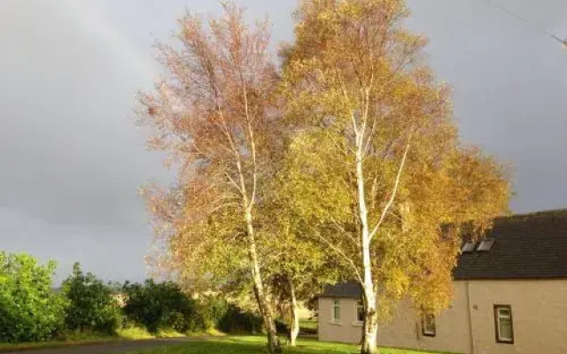 Eastwood Cottage