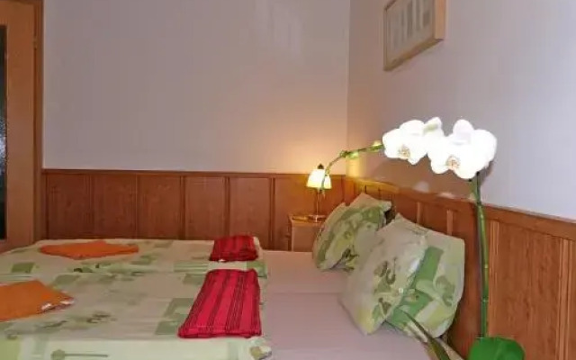 Raday Central Apartment