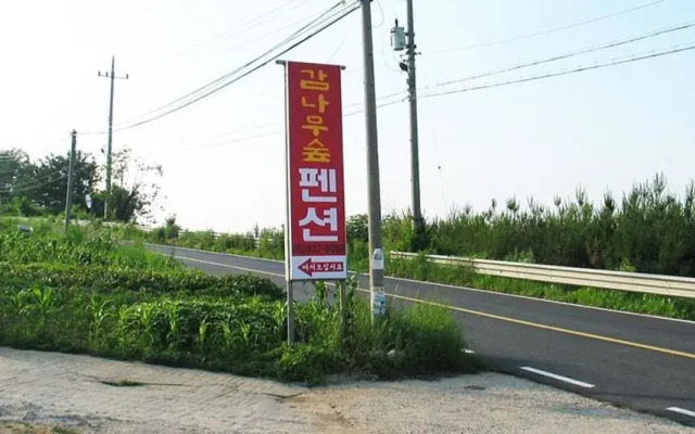The Persimmon Tree Pension