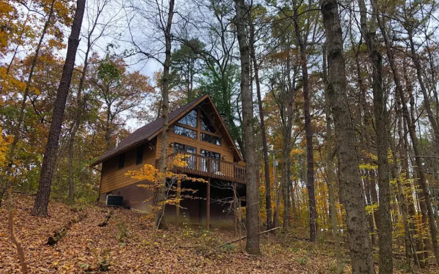 Elk - Hocking Hills