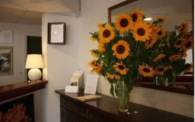 Hotel Il Guscio