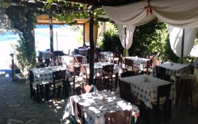 Thassos Grand Villas Apartments &Studios