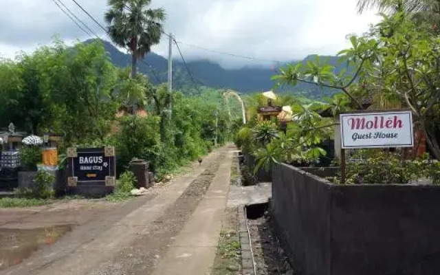 Molleh Guest House