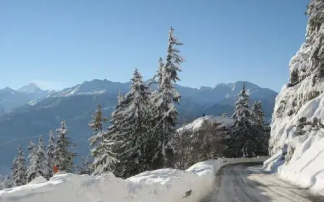 Chalet Xenia