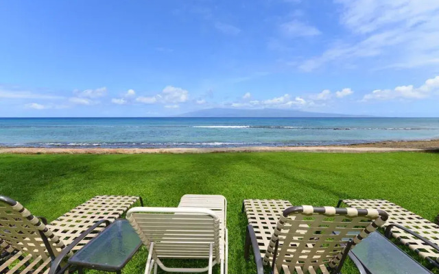 Paki Maui 414 by RedAwning
