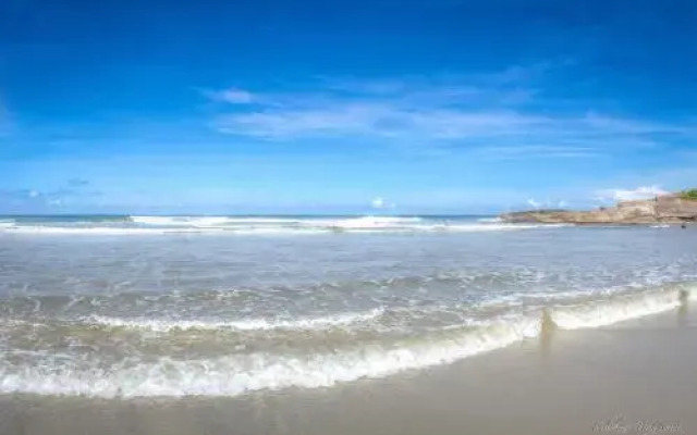 Pousada Pesque Park