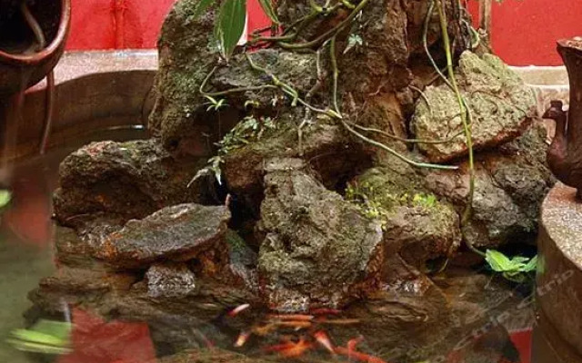 Yangshuo South Holiday Inn