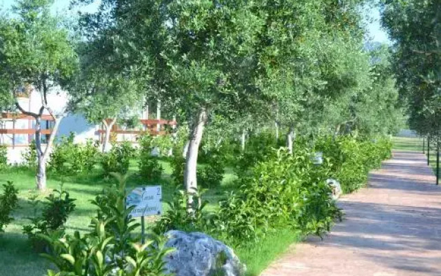 Agriturismo Antichi Ulivi