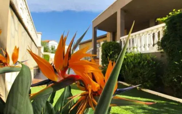 ARENDA Villa Flandes Pino Alto