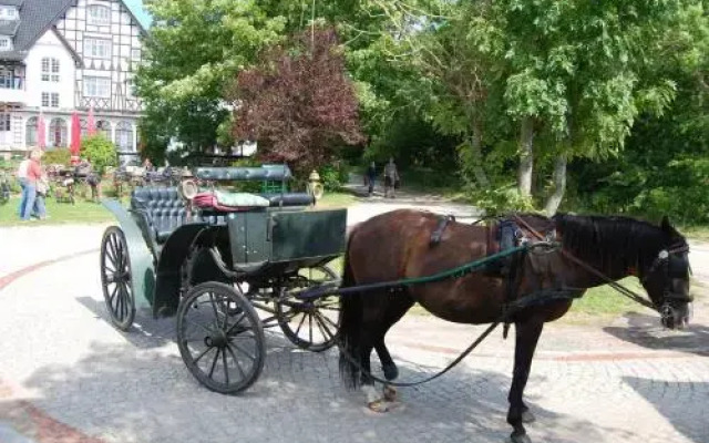 Hotel Hiddensee "Enddorn"