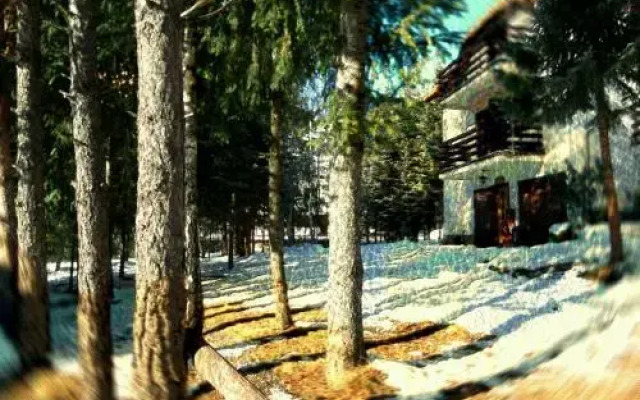 Apartments Villa Omorika 7