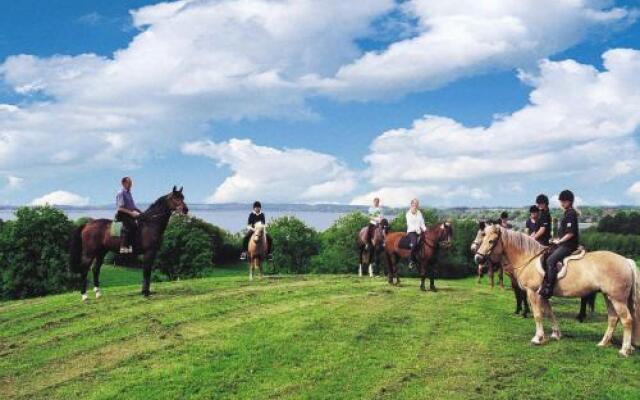 Ponyhof Naeve am Wittensee