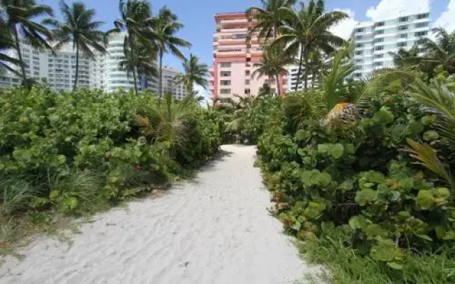 Beachfront Alexander