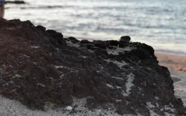 Mauna Loa Shores