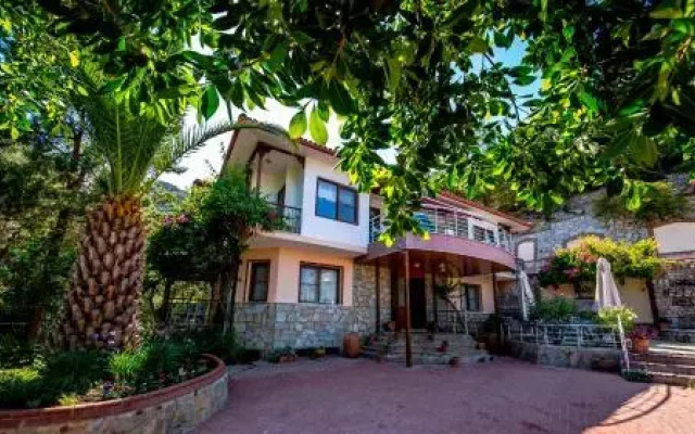 Palmetto Vip Villa