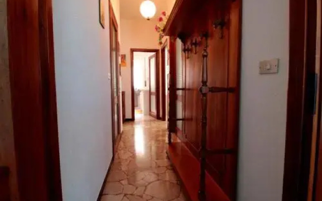 House Argia by Holiday World