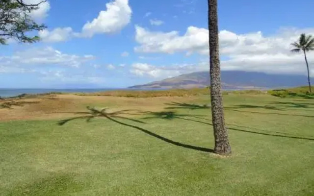 Aloha Kai2 - Resort Condo
