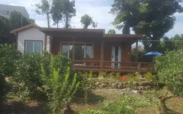Wimi Sarang House