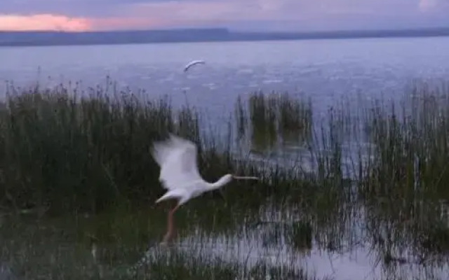 Eagles Point Camp, Lake Elementaita