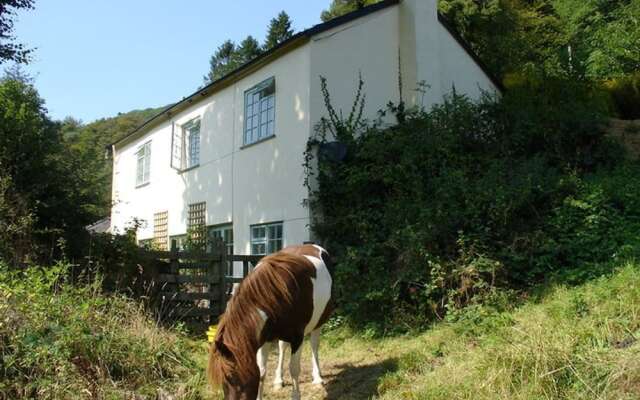 Barn Cottage