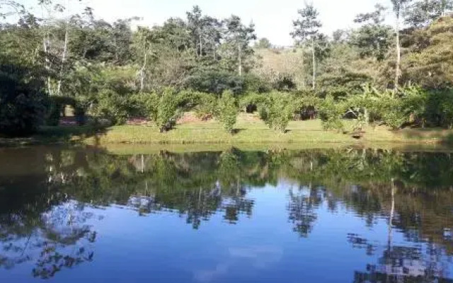 Rincon Verde