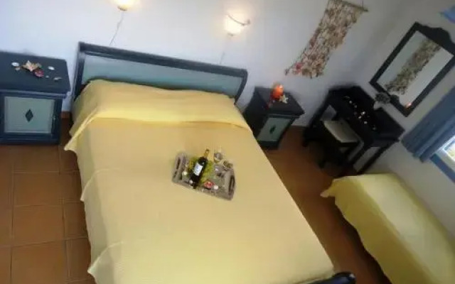 Agnantema