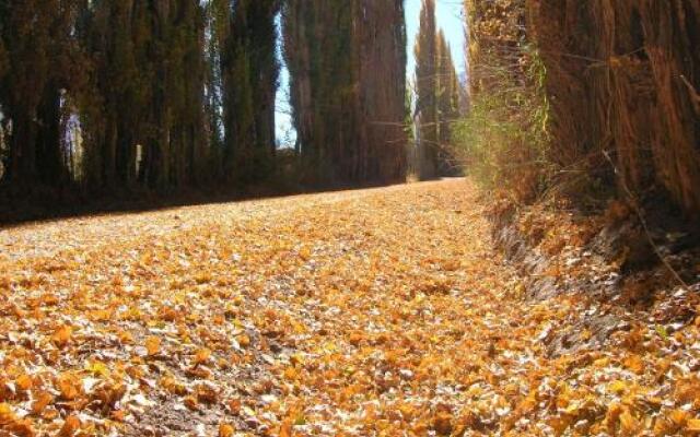 Hostel Internacional Uspallata