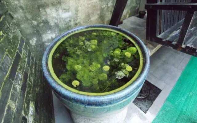Xitang Yangliu'an - Space Inn