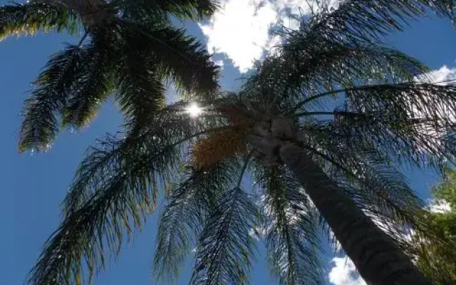 Hidden Oasis