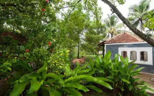 Kayal Island Retreat