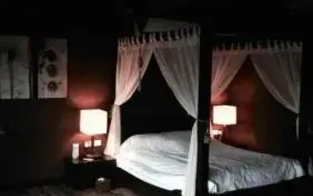 Miracle Suite