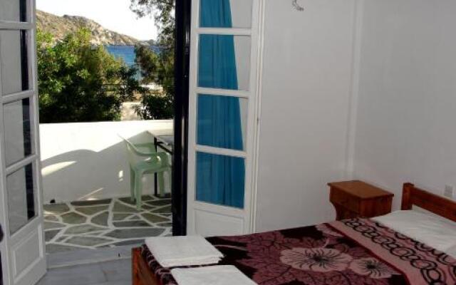 Purple Pig Stars Camping & Bungalows