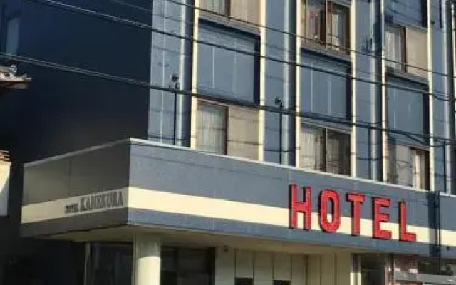 Business Hotel Kanekura
