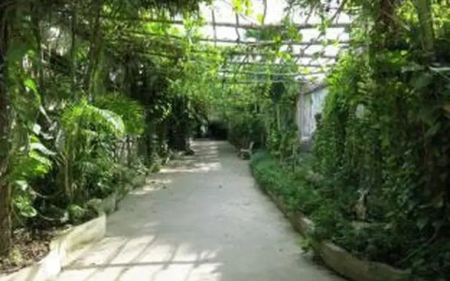 Ngoc Nho Guest House