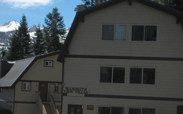 Mammoth View Villas 18