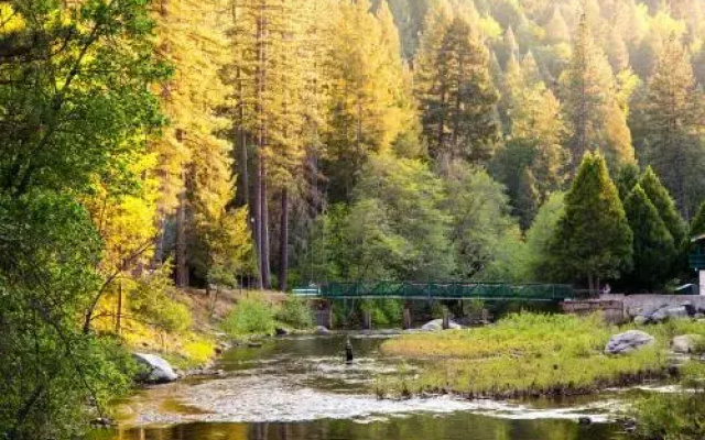 Yosemite Lakes River Yurt 22