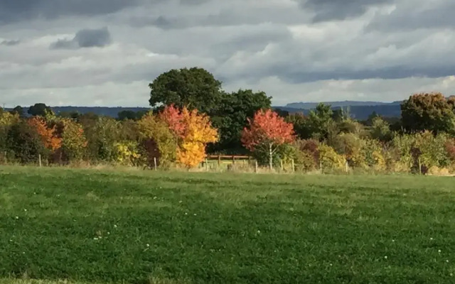 Foxfield Glamping