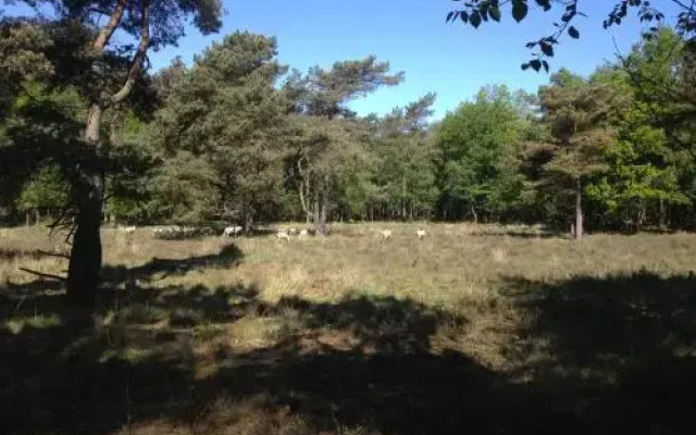 Summio Bungalowpark Het Hart van Drenthe