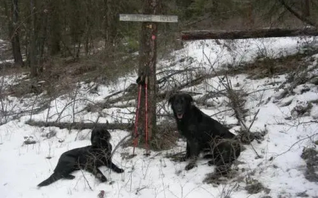 High Rim Vacation Suites