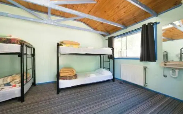 Neds Beds