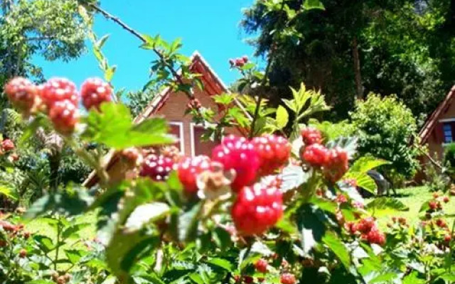 Chalés Fazenda das Samambaias