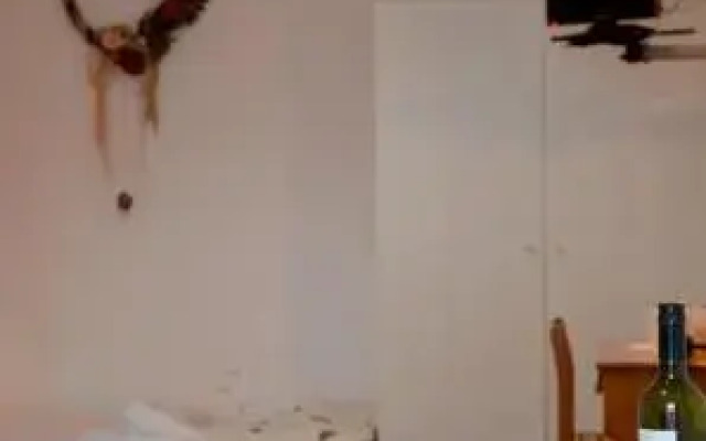 Zorbas Rooms