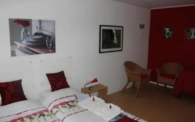 Desokkeraai - Sauna & Hottub privé appartement in schuur