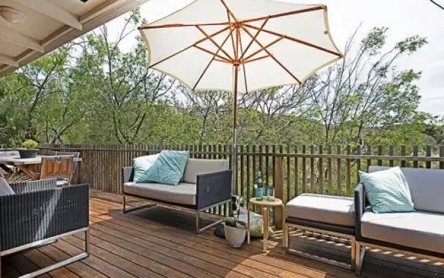 Treetops