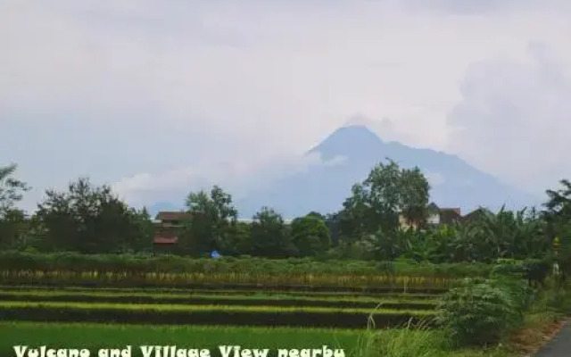 The Temple Homestay