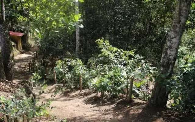 Casa Campestre Terrazas del Palmar