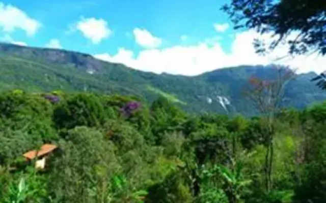 Fios da Terra